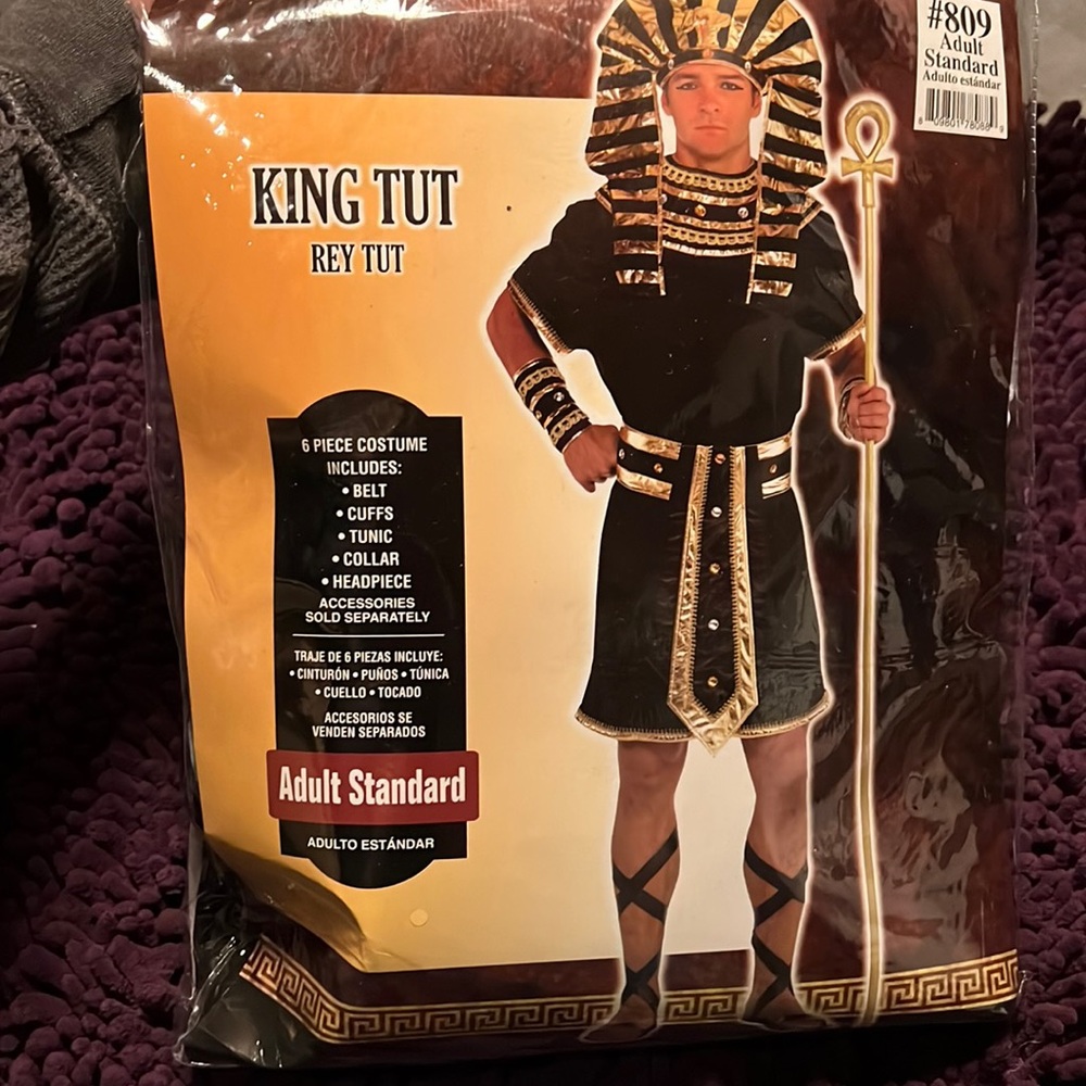 King tut costume